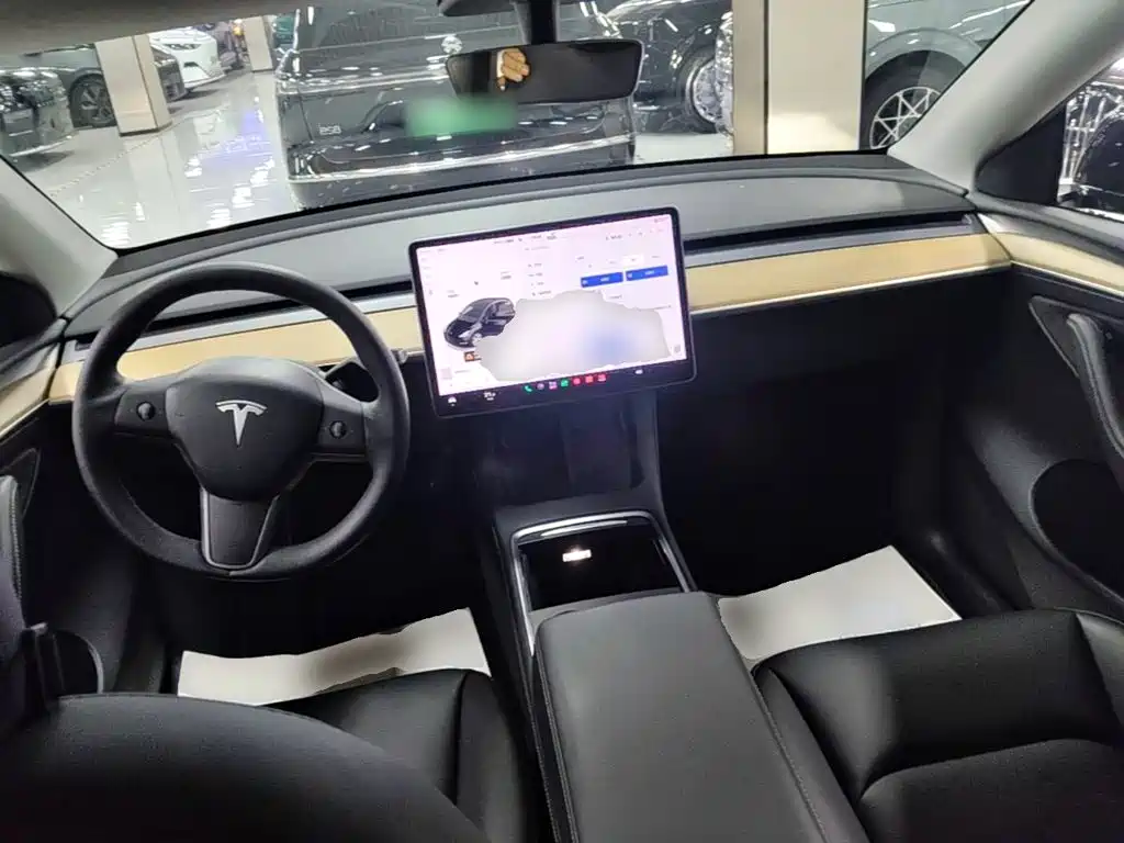 Tesla Model Y — фото 10