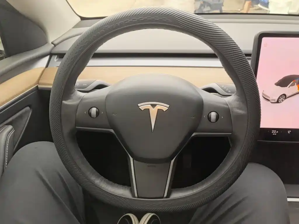 Tesla Model Y — фото 11