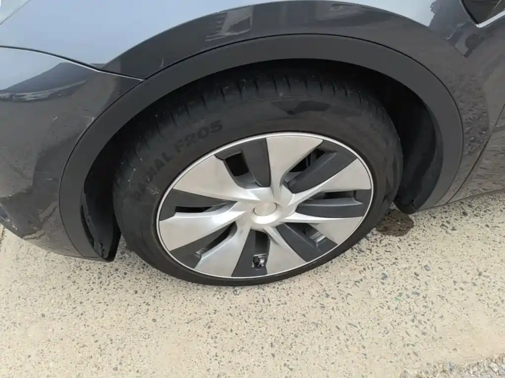Tesla Model Y — фото 23