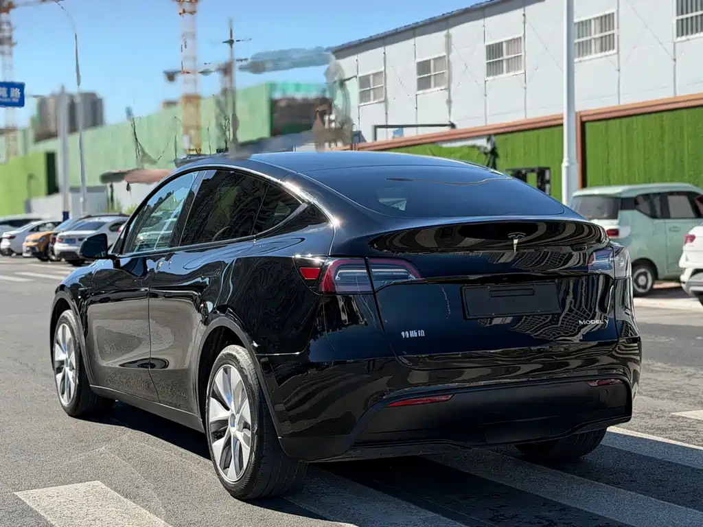 Tesla Model Y — фото 14