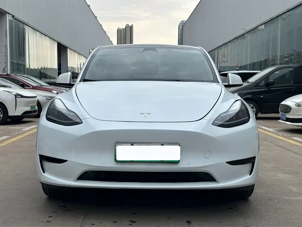 Tesla Model Y — фото 2