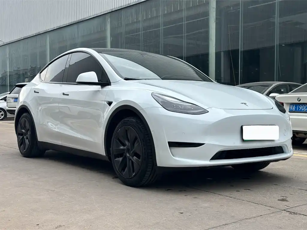 Tesla Model Y — фото 3