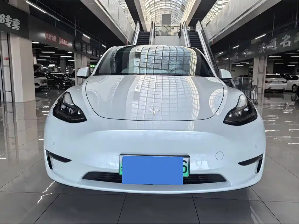 Tesla Model Y — фото 2