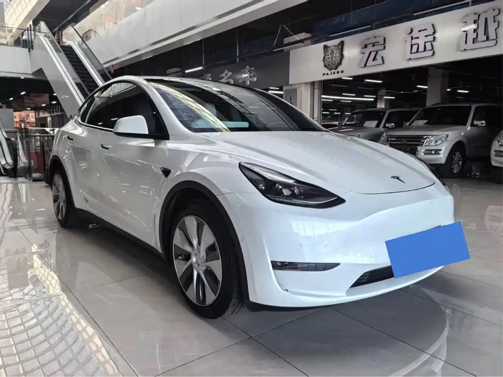 Tesla Model Y — фото 3