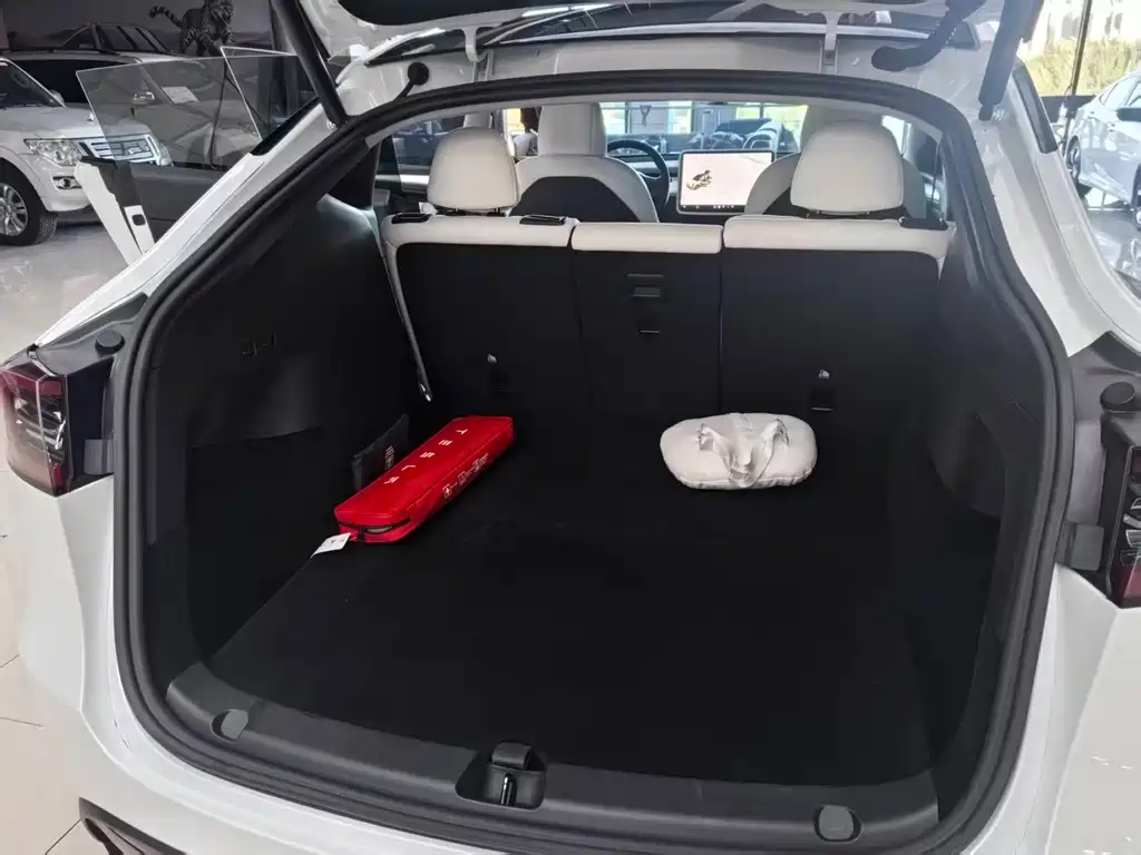 Tesla Model Y — фото 10