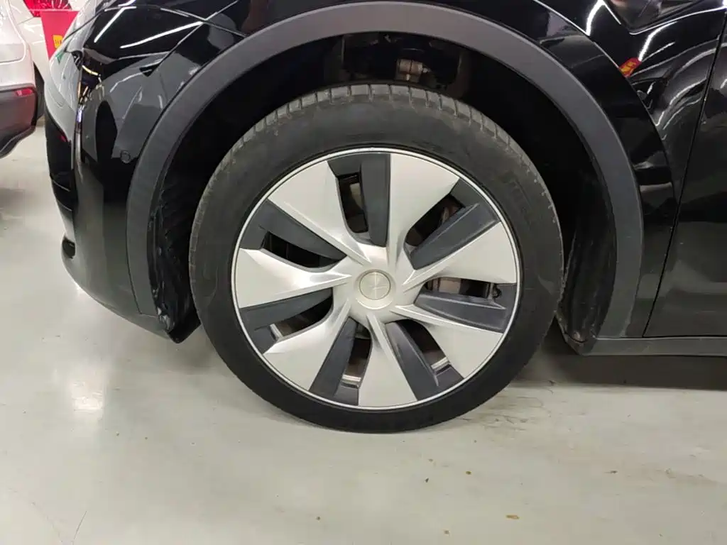 Tesla Model Y — фото 23