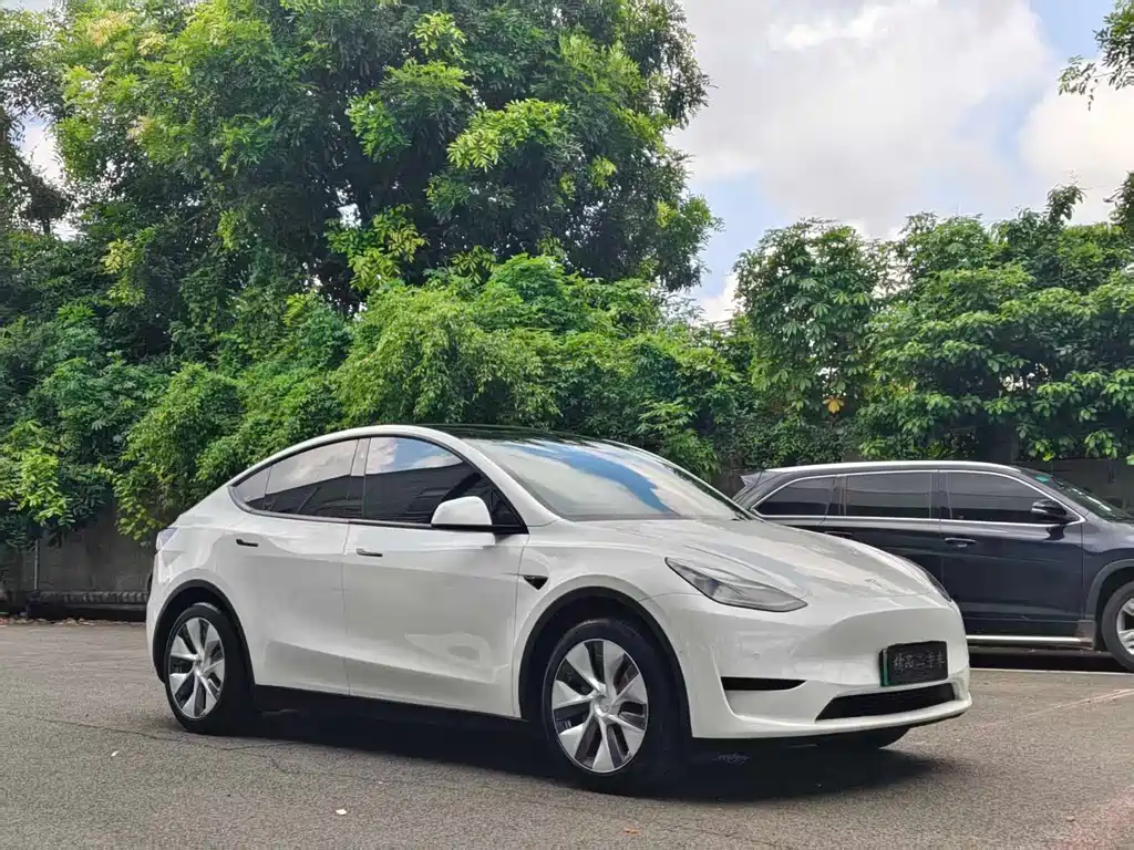 Tesla Model Y — фото 3