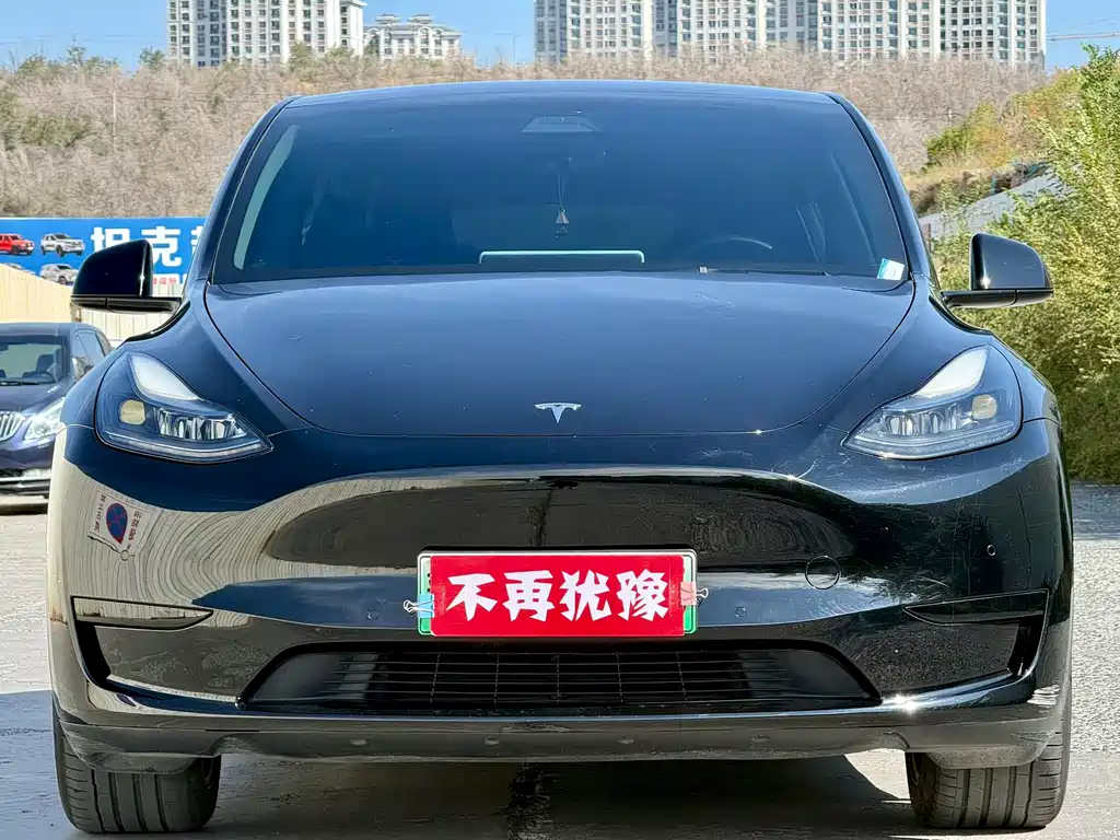 Tesla Model Y — фото 2