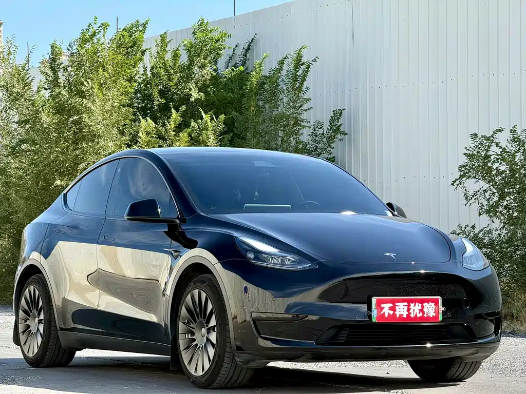 Tesla Model Y — фото 3
