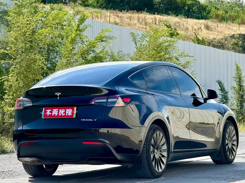 Tesla Model Y — фото 9
