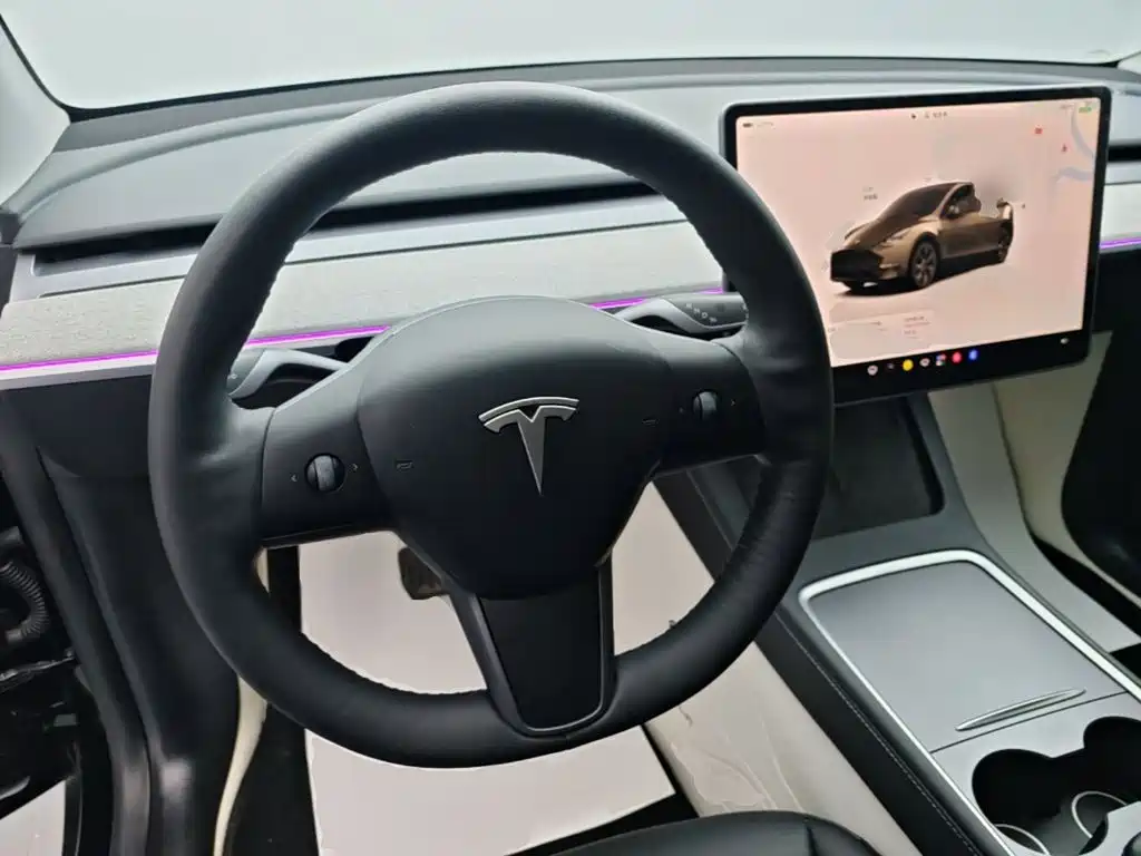 Tesla Model Y — фото 11