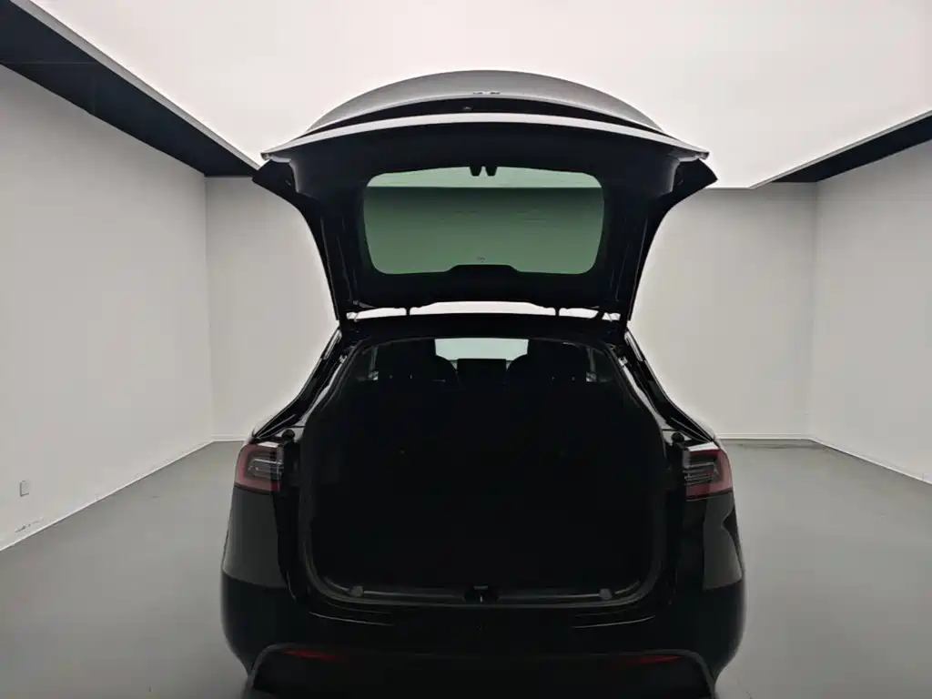Tesla Model Y — фото 19