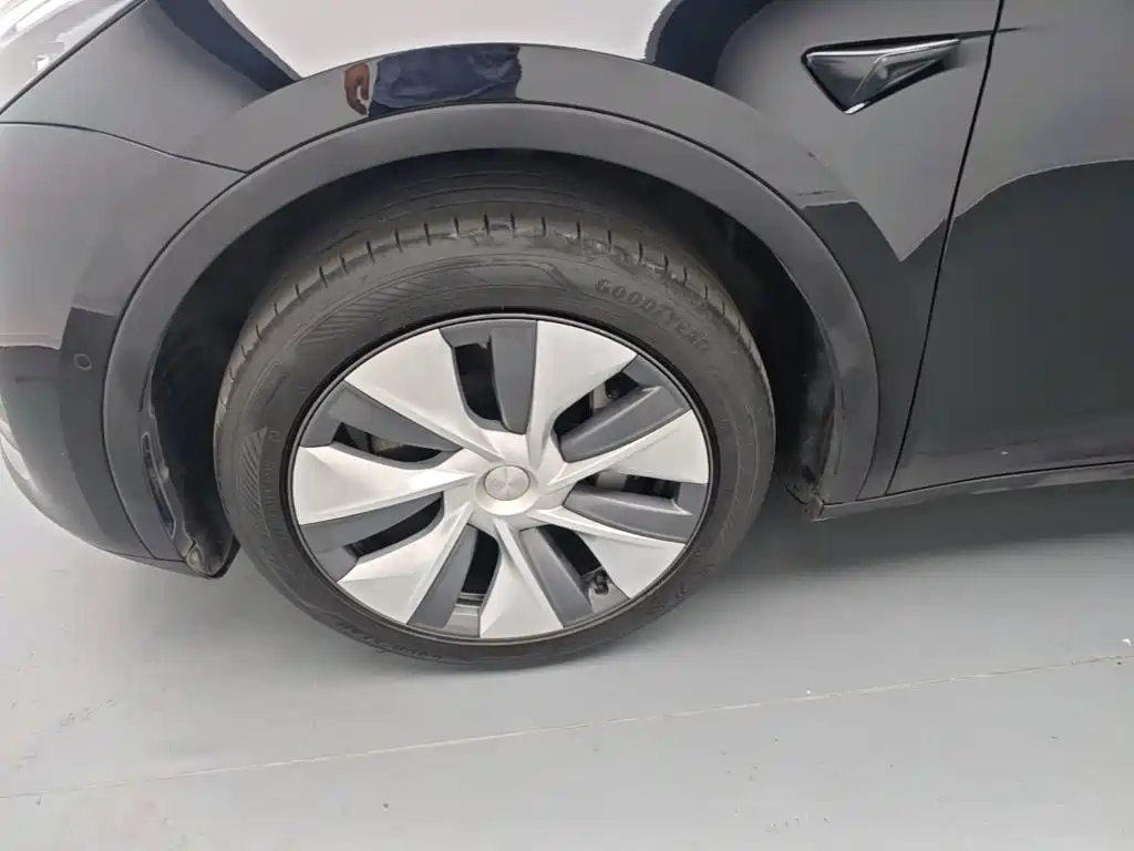 Tesla Model Y — фото 23