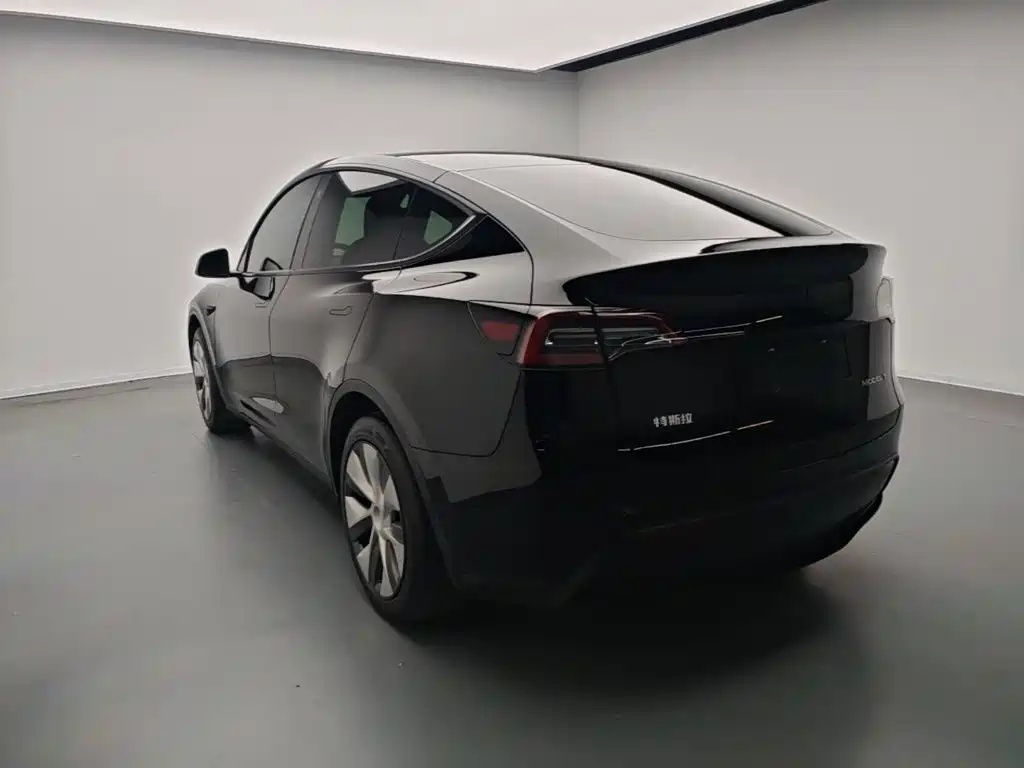 Tesla Model Y — фото 5