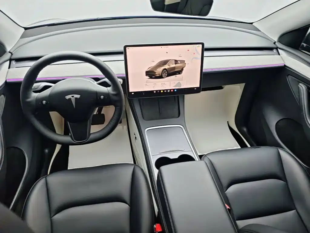 Tesla Model Y — фото 10
