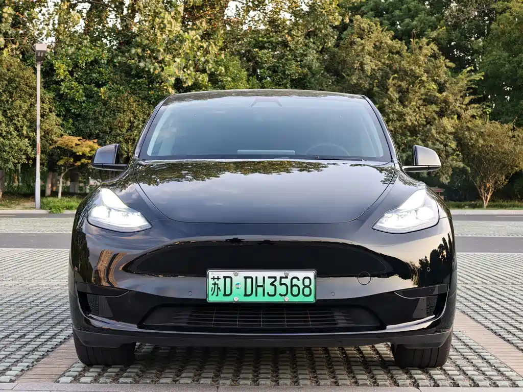 Tesla Model Y — фото 2