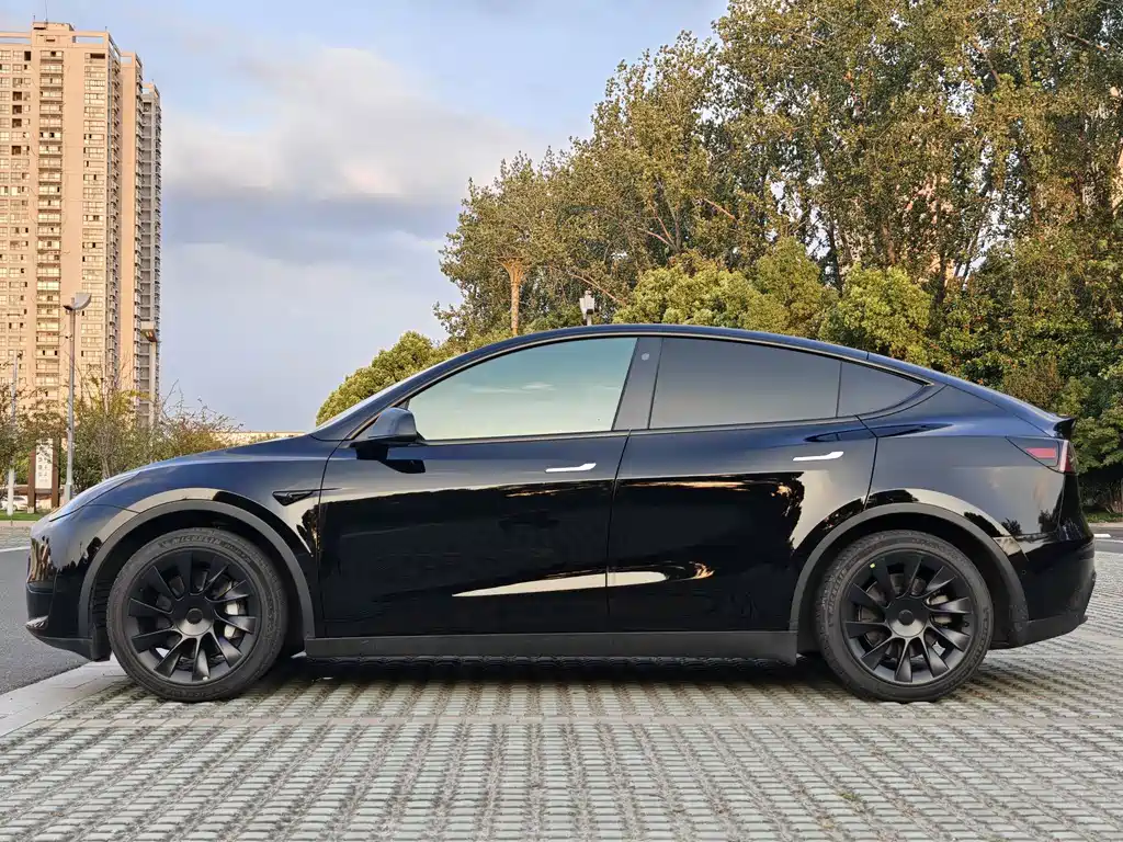 Tesla Model Y — фото 3
