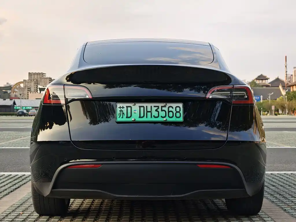 Tesla Model Y — фото 4