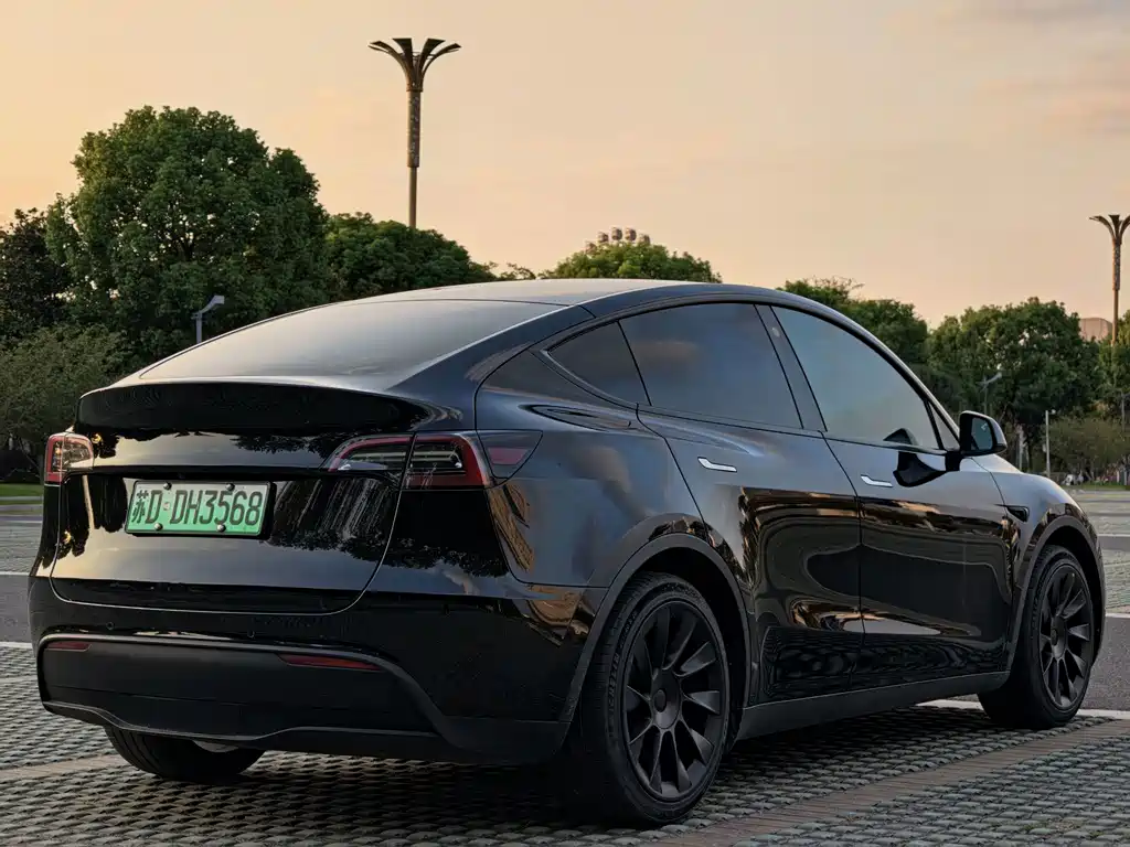 Tesla Model Y — фото 5