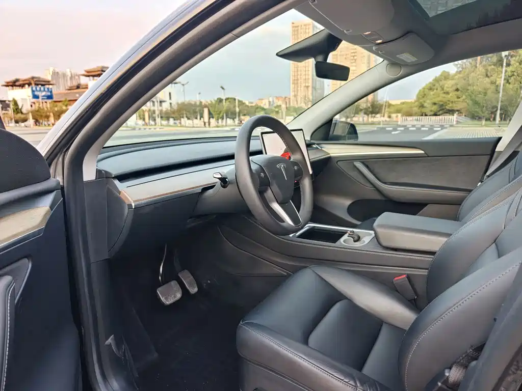 Tesla Model Y — фото 6