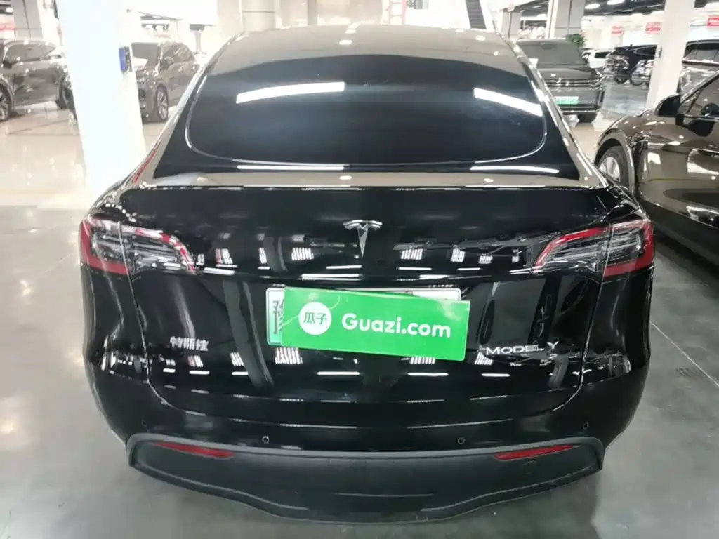 Tesla Model Y — фото 6
