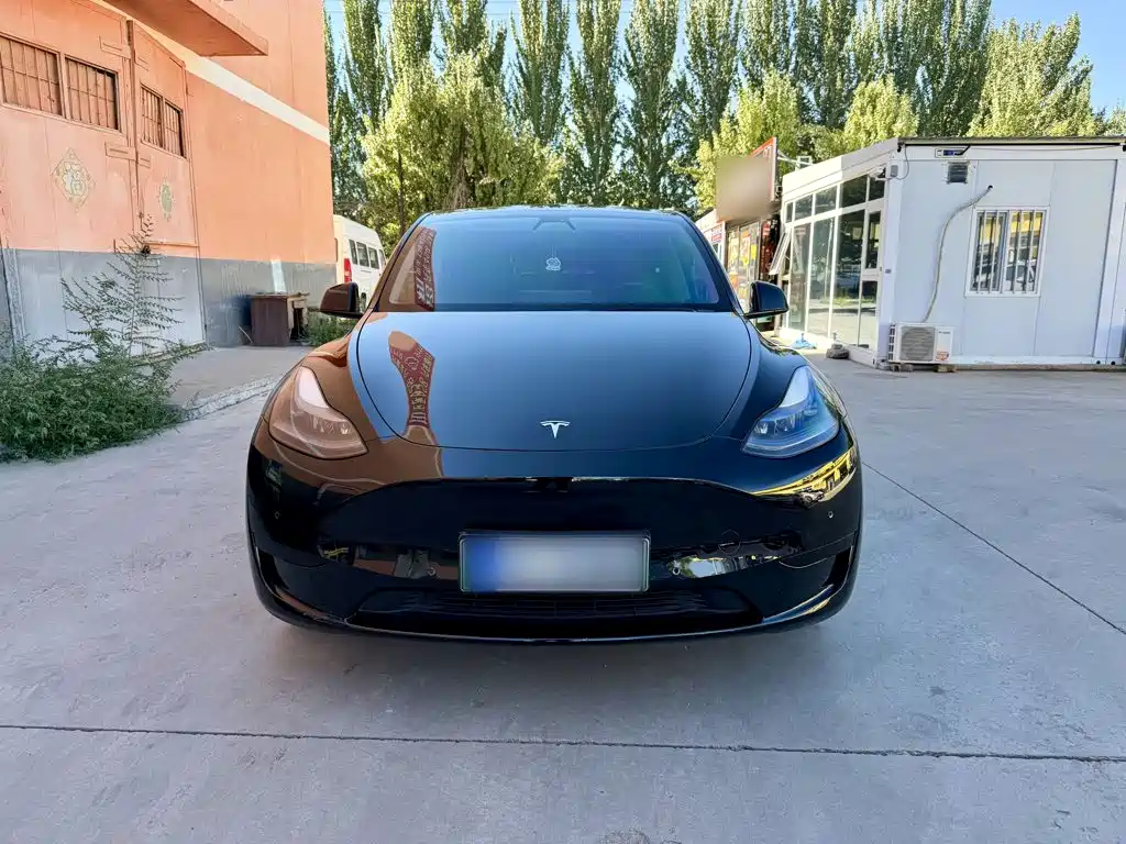 Tesla Model Y — фото 3