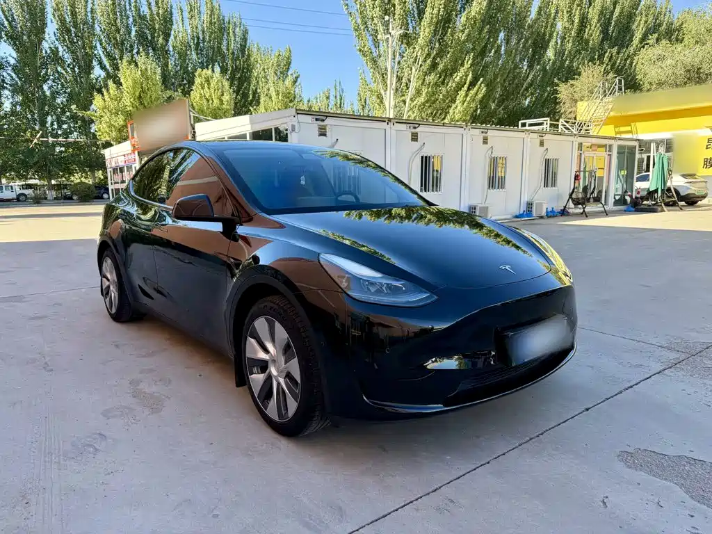 Tesla Model Y — фото 4