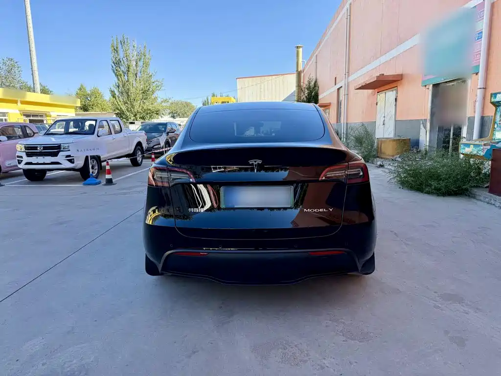 Tesla Model Y — фото 6