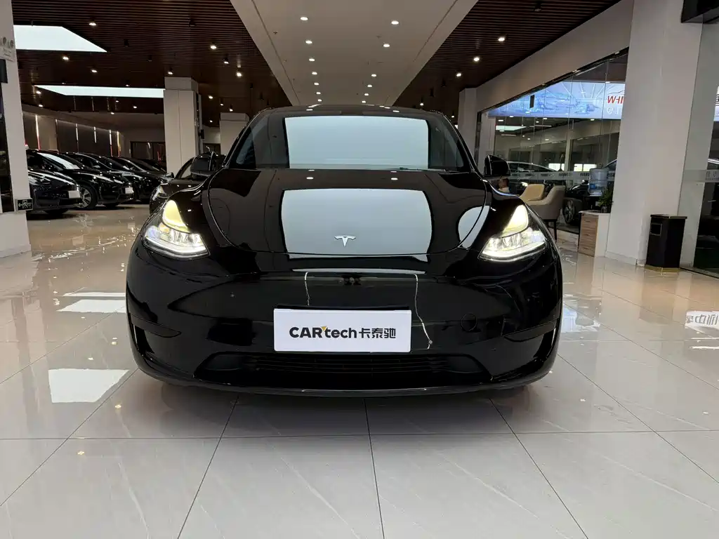 Tesla Model Y — фото 2