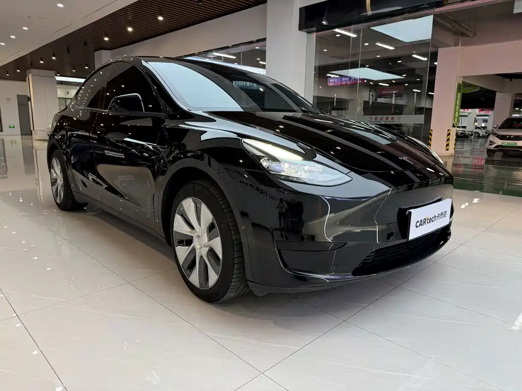 Tesla Model Y — фото 3