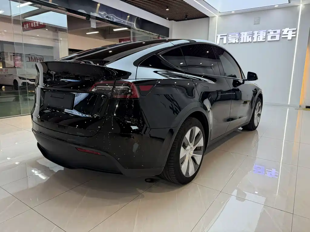 Tesla Model Y — фото 8