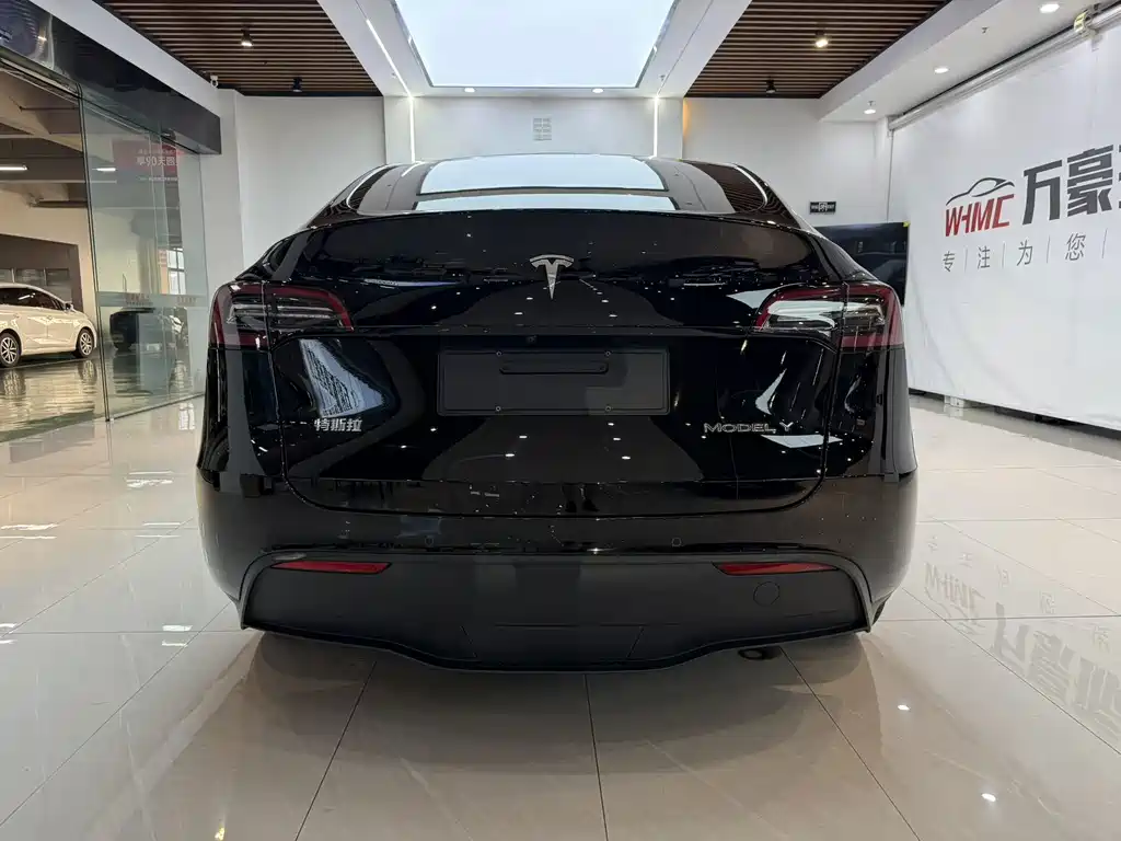 Tesla Model Y — фото 9