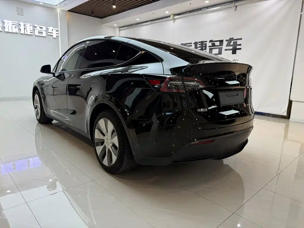 Tesla Model Y — фото 10