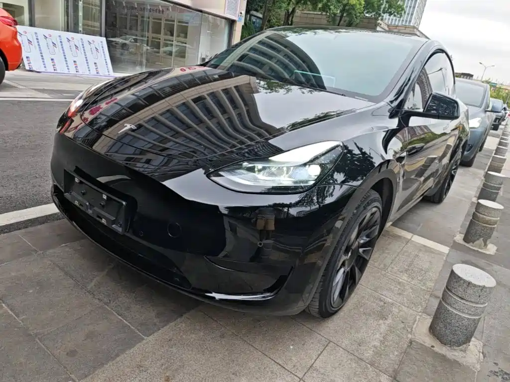 Tesla Model Y — фото 2