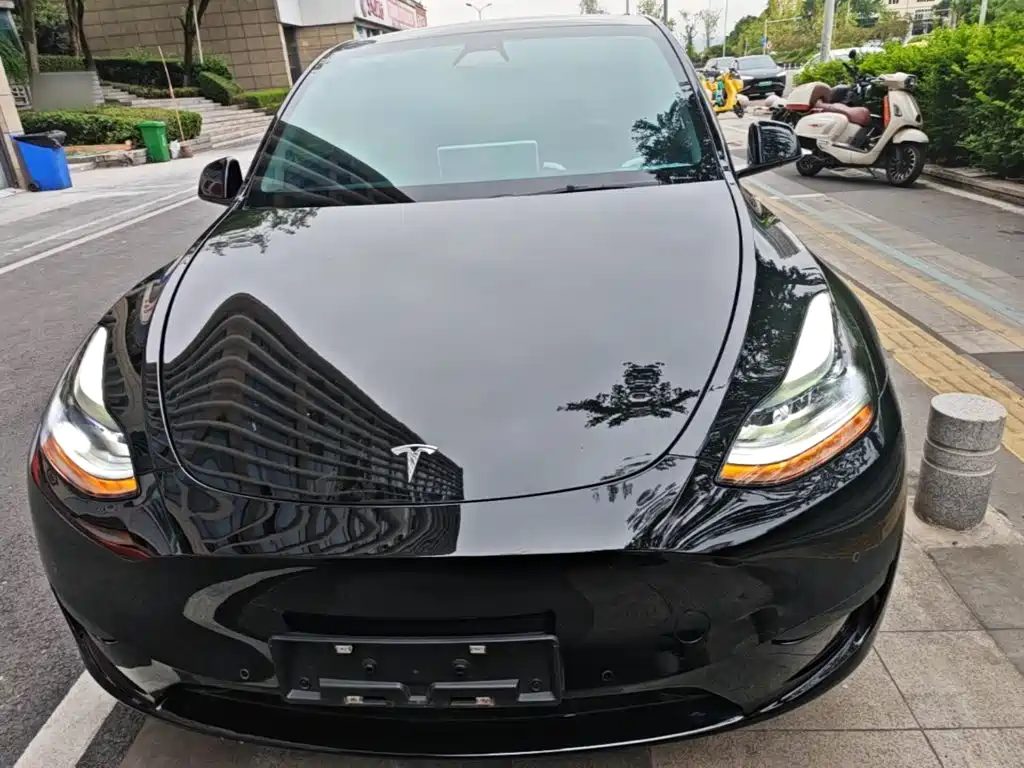 Tesla Model Y — фото 3