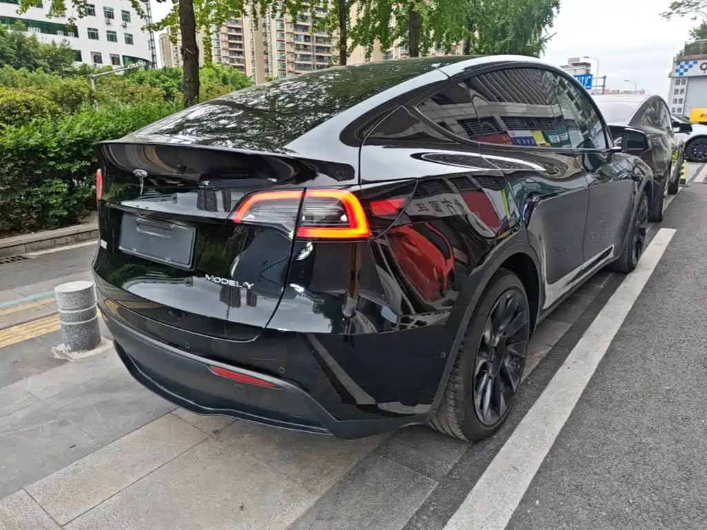 Tesla Model Y — фото 7