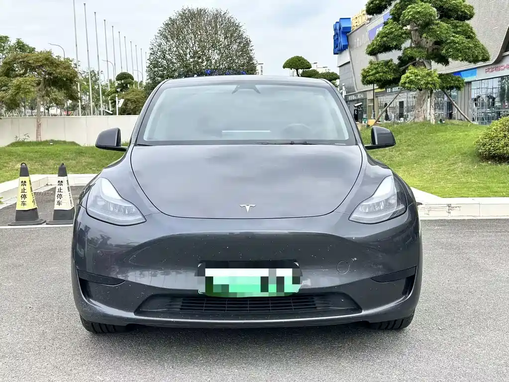 Tesla Model Y — фото 2