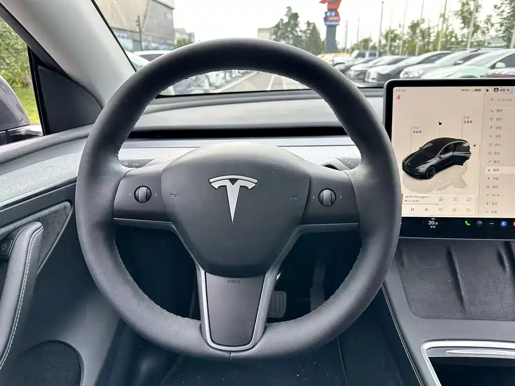 Tesla Model Y — фото 6