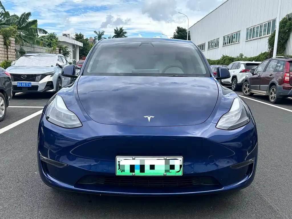 Tesla Model Y — фото 2