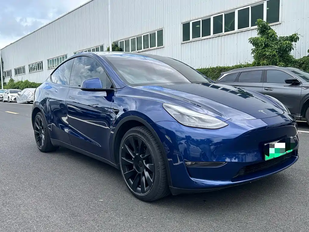 Tesla Model Y — фото 3