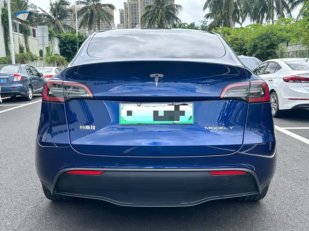 Tesla Model Y — фото 8
