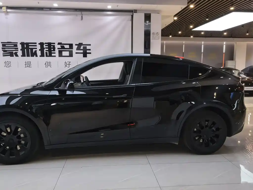 Tesla Model Y — фото 2