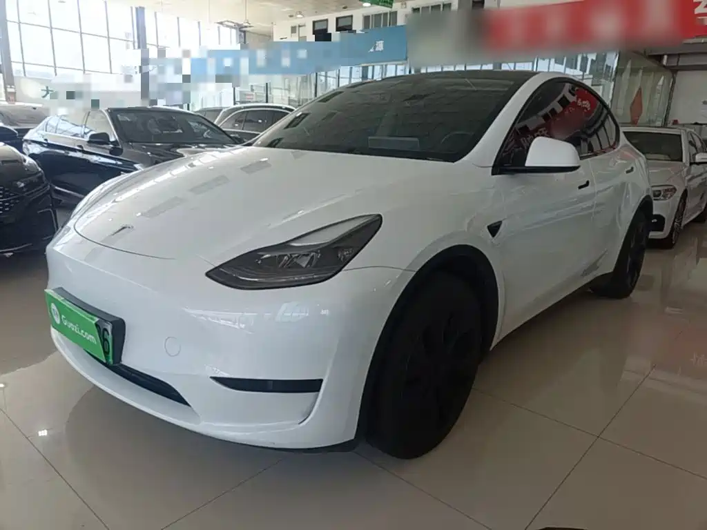 Tesla Model Y — фото 2