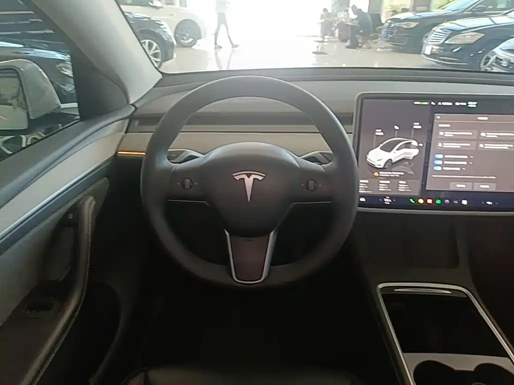 Tesla Model Y — фото 11