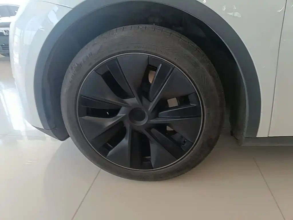 Tesla Model Y — фото 23