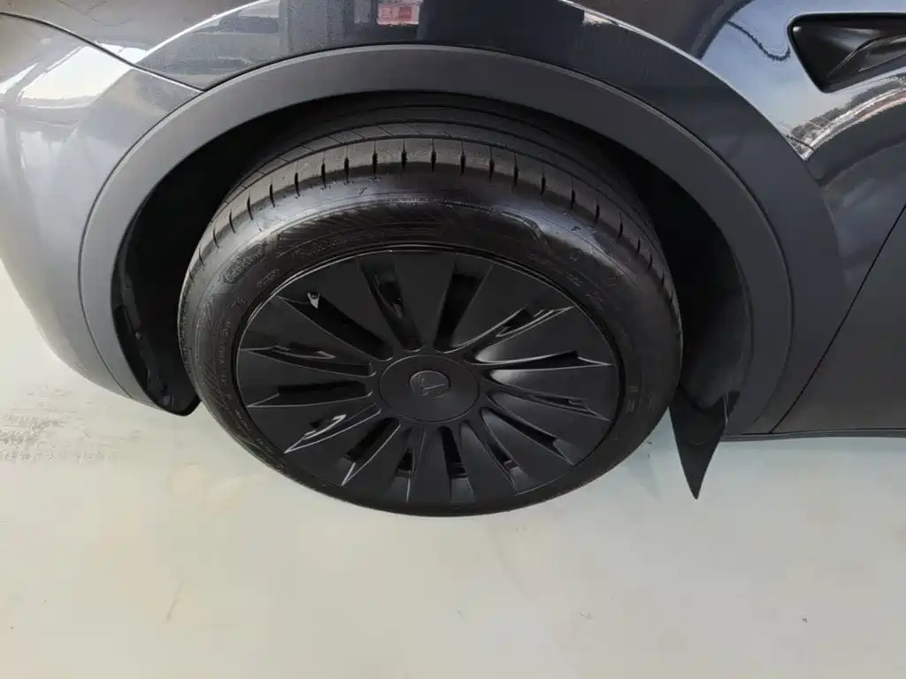 Tesla Model Y — фото 23