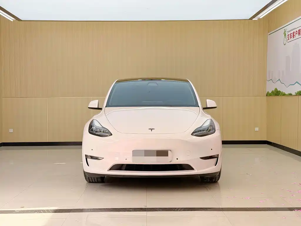 Tesla Model Y — фото 2