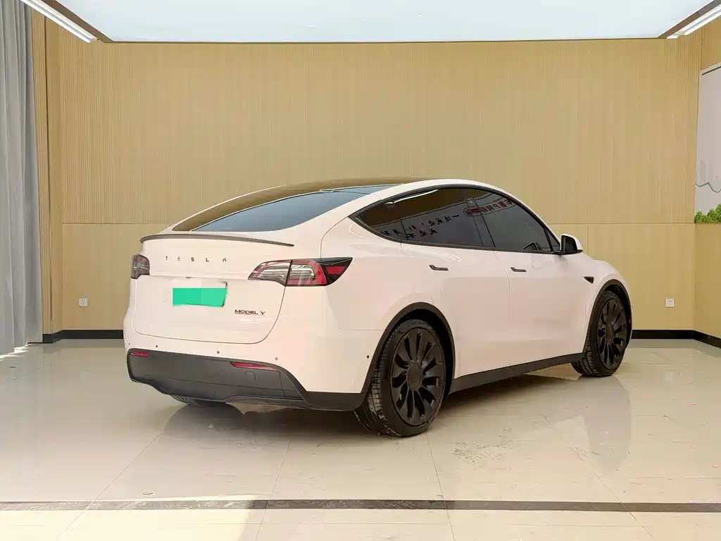 Tesla Model Y — фото 15