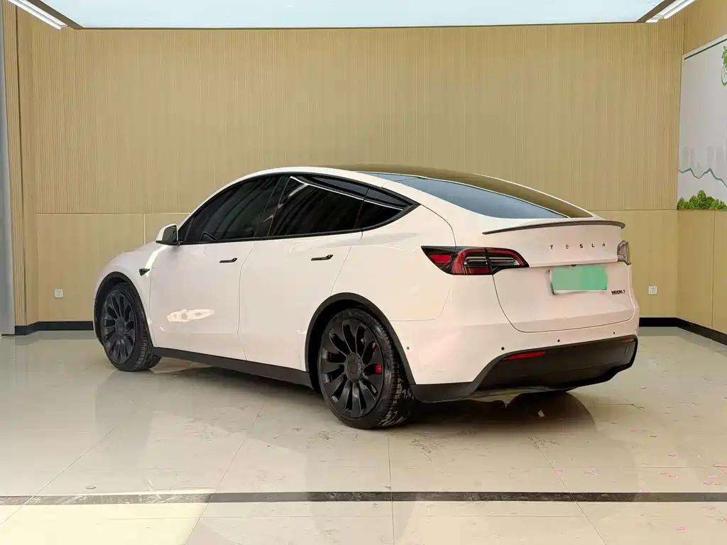 Tesla Model Y — фото 17