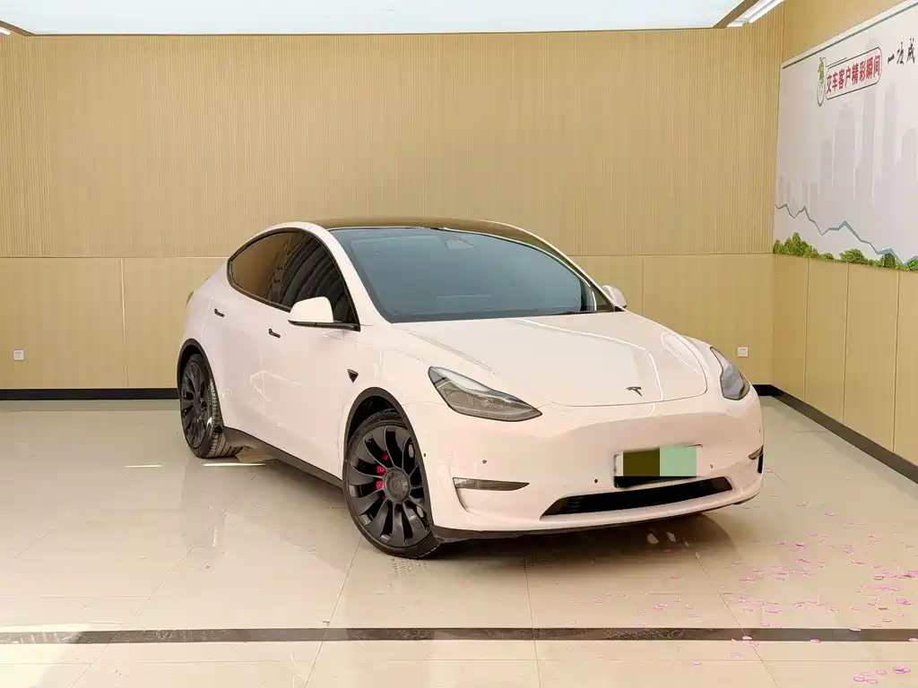 Tesla Model Y — фото 3